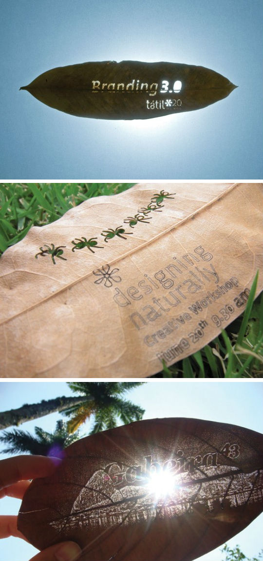 Post image for Tatil Design De Ideias Leaf Unique Card