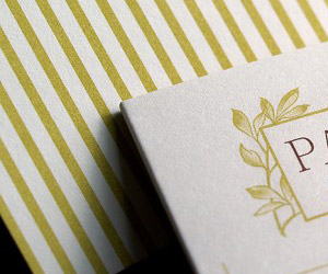 The Painted Light's Green Business Card Booklet