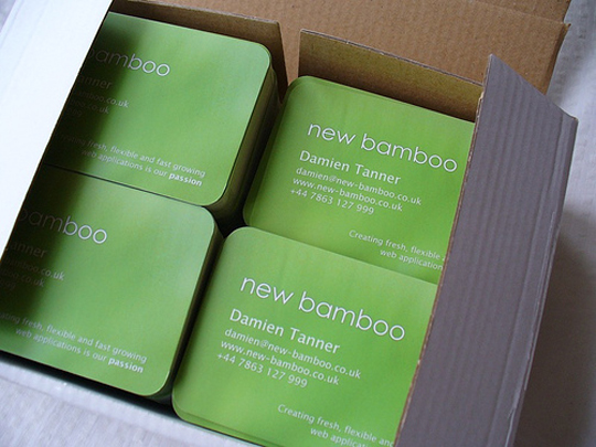 Damien Tanner 's Simple Green Business Card