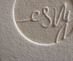 Esvy Photography's Textured Business Card