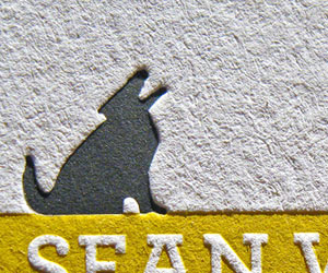 Sean Wolfe's Cute Business Card
