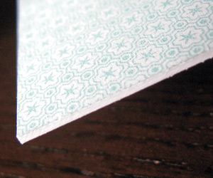 Sue B Photography's Cute Business Card