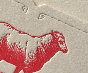 Many Fold Farm's LetterPress Business Cards