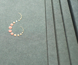 Coldwater Prawns of Norway Branding & Identity